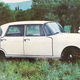 Image for article titled Blip: Abandoned Car Chic